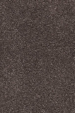 Ковролин AW Vivendi Punch 44 фото 1 | FLOORDEALER